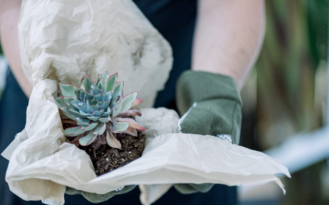 Post 4 : Lorem Ipsum Dummy Text