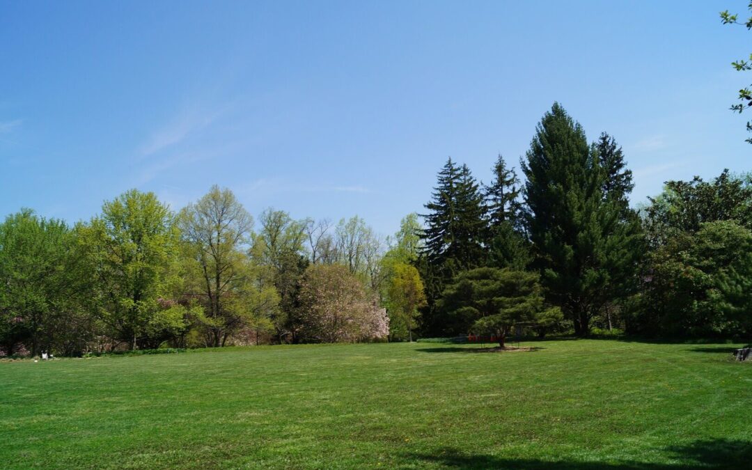 Post 5 : Lorem Ipsum Dummy Text