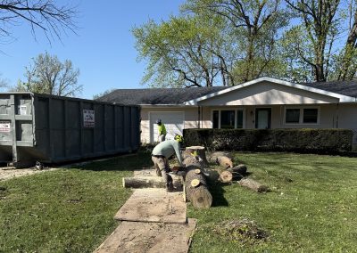 tree care